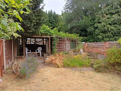 Picture 20